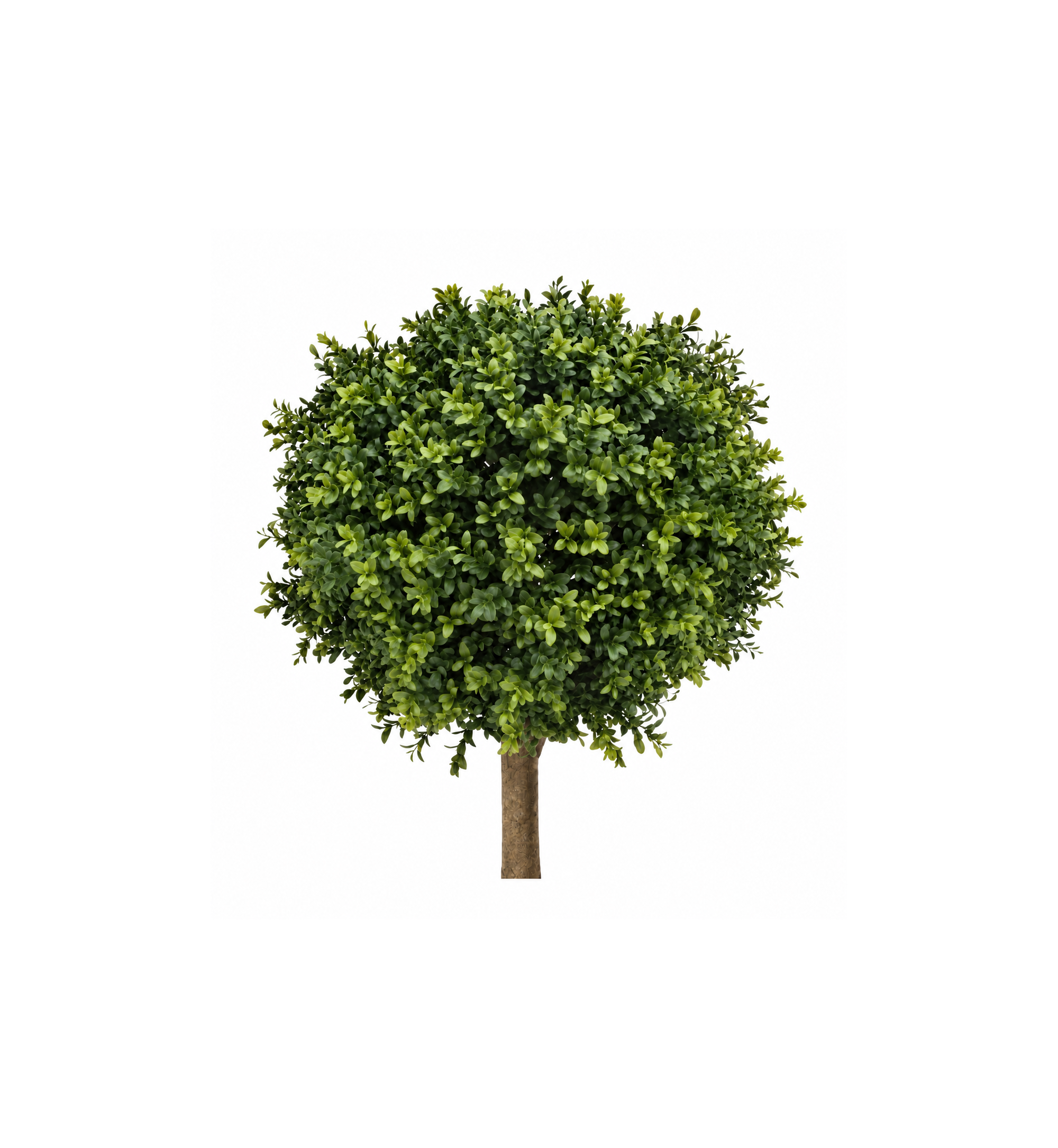 artificial bushy buxus ball tree artificial bushy buxus ball tree