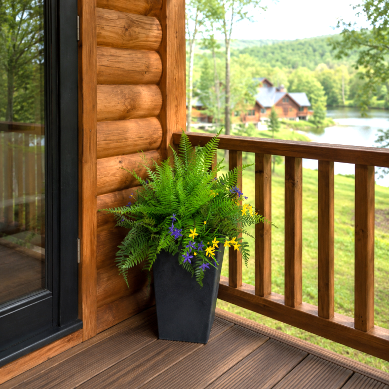 Fern-Cubico-in-situ-768x768