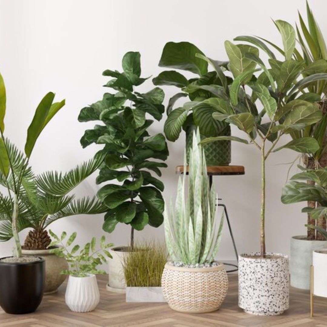 modern indoor plant stands 35.5'' High Metal Plant Stand 6 Tier 6 Potted Indoor Flower Pot Stand Holder, Gold