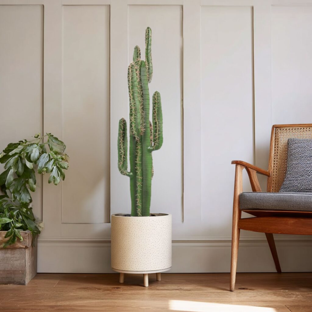 Artificial Cactus Plant Interior
