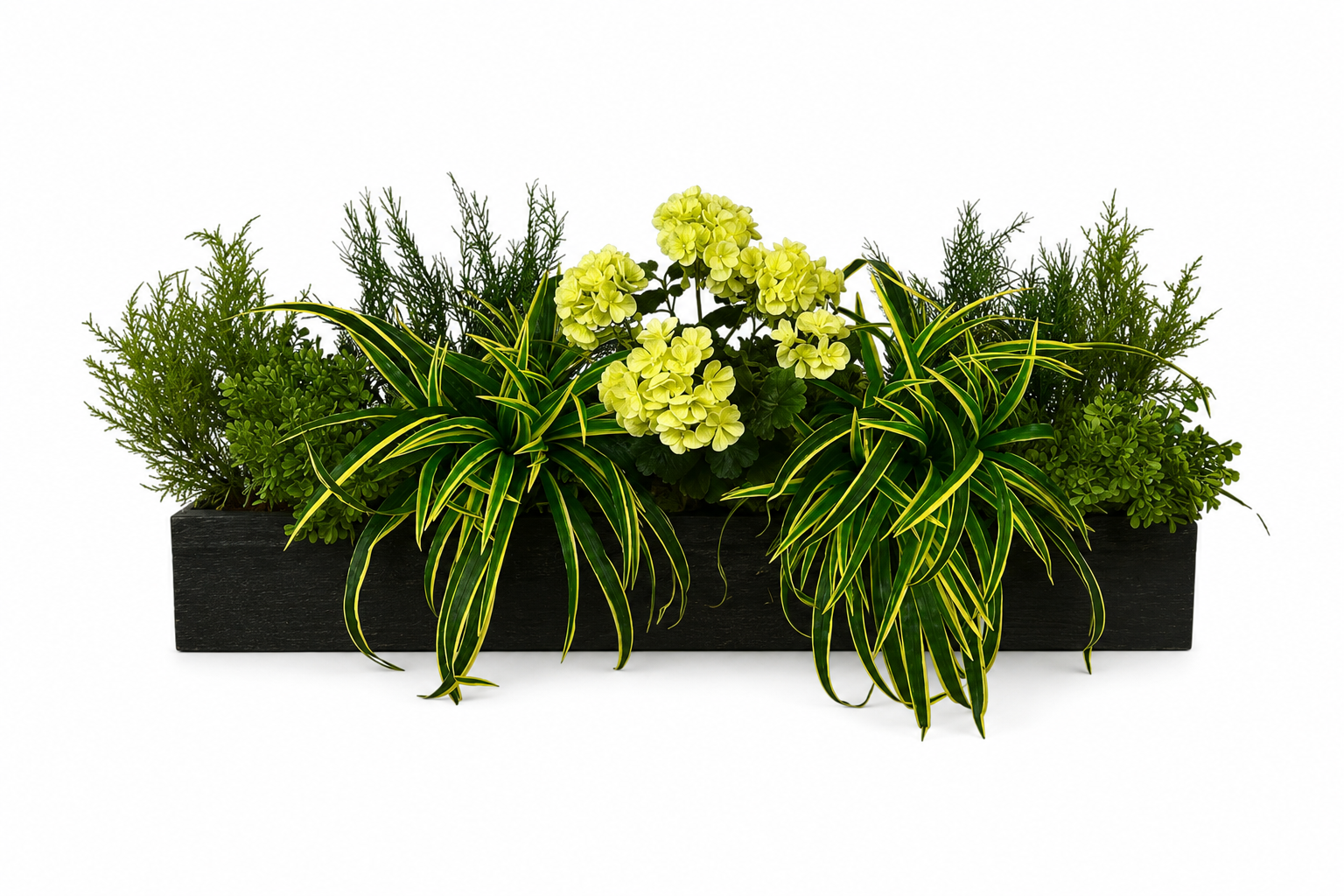 Artificial White Geranium and Dracaena Grass Window Box Artificial White Geranium and Dracaena Grass Window Box in black timber trough