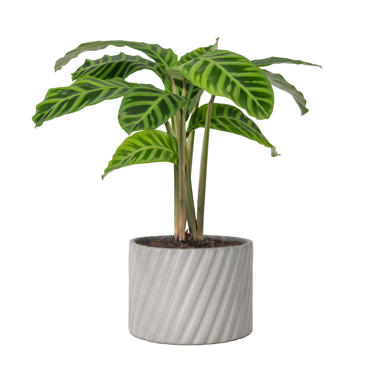 Artificial Outdoor Plants Fake Greenery Evergreen