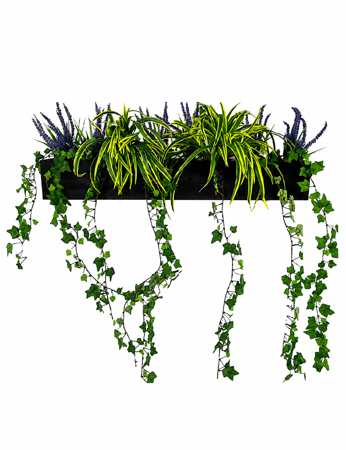 Heather-Dracaena-window-box-768x995