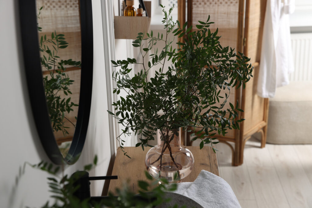 Laurel Plants