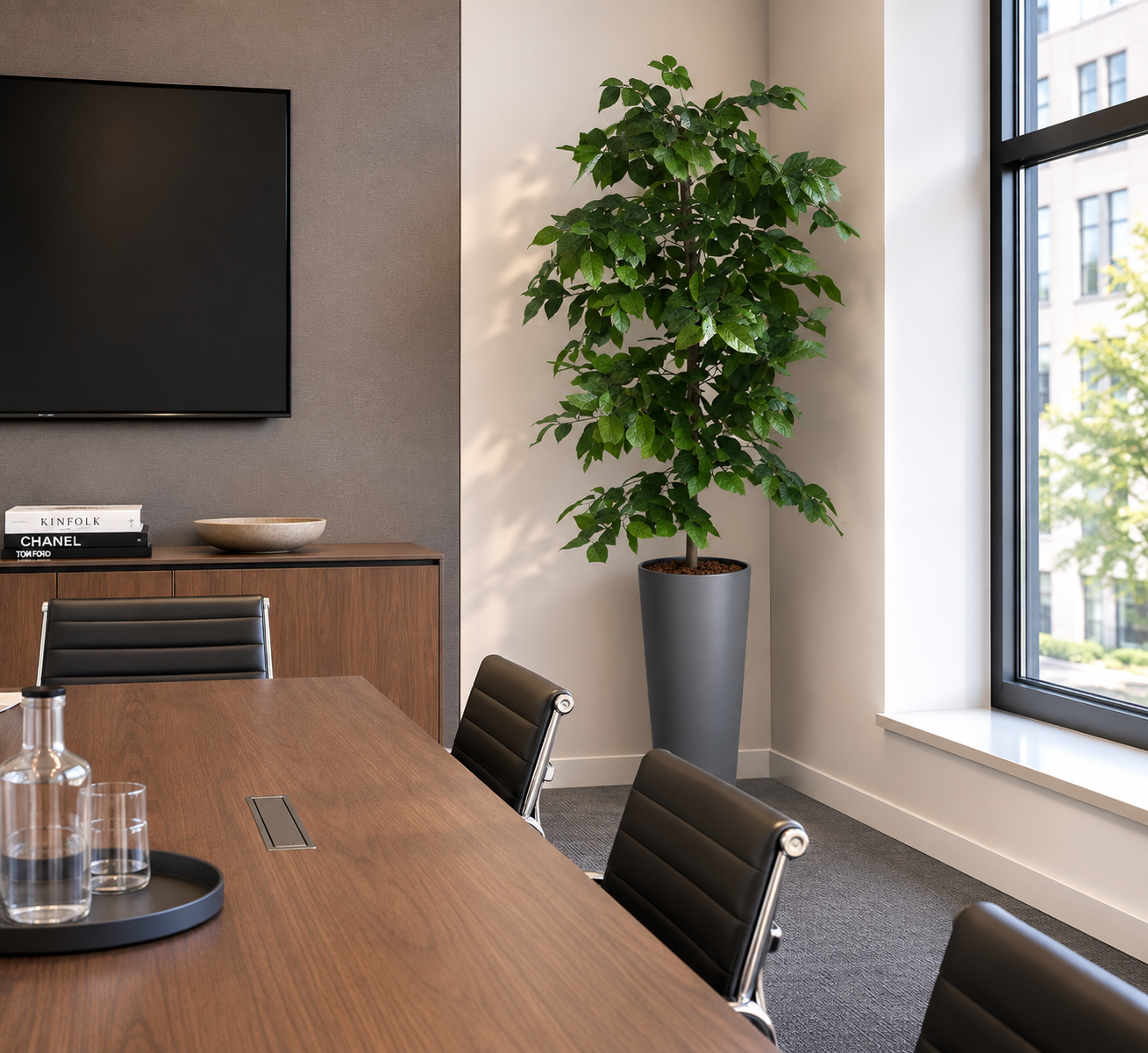spring green ficus in situ