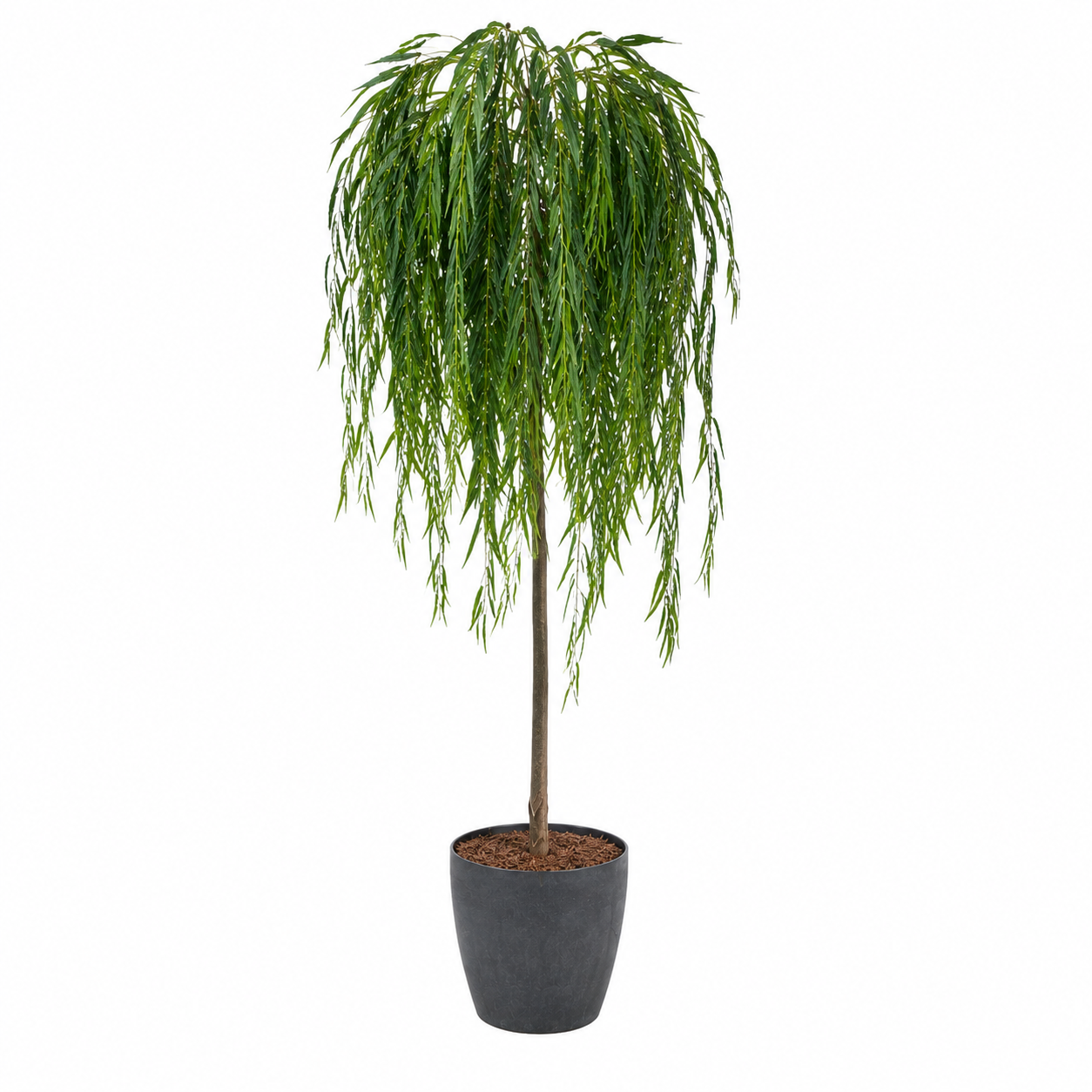 Luxe Willow