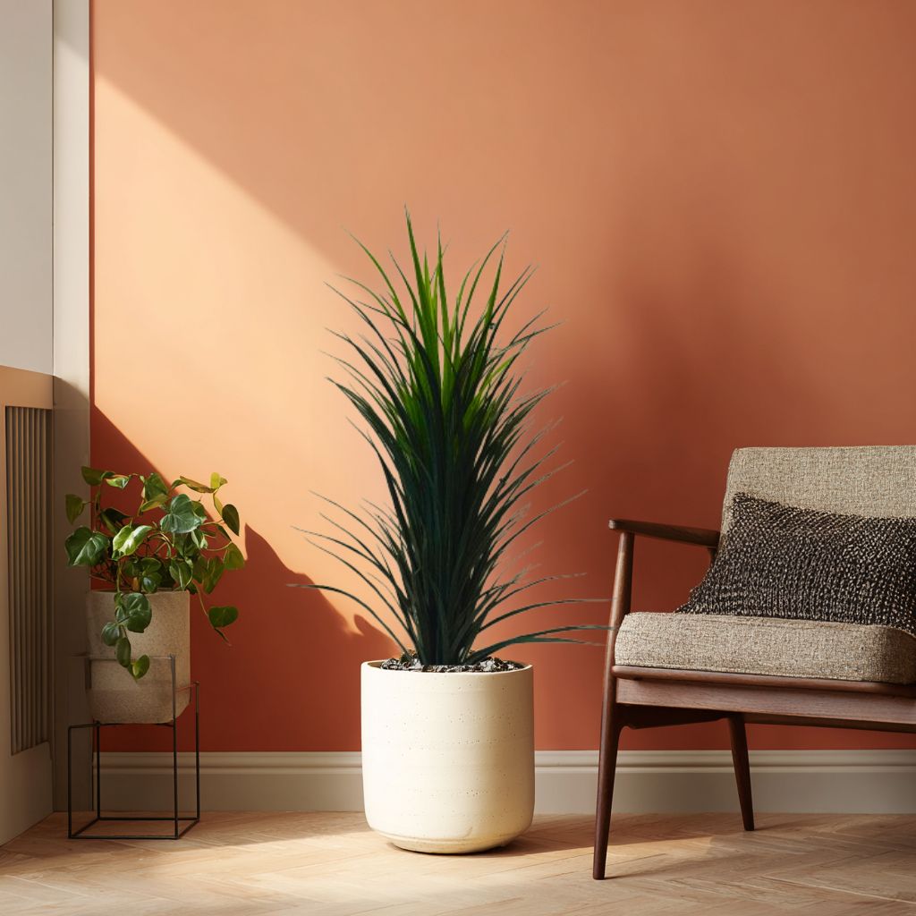 Yucca Interior