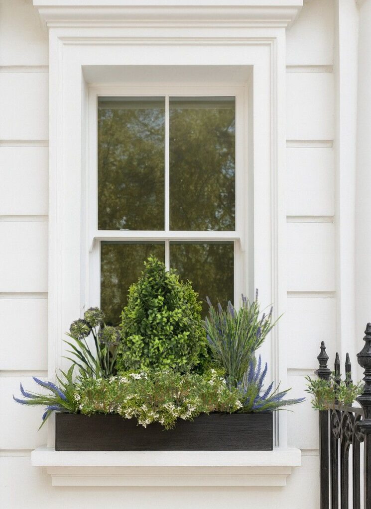 Buxus Topiary Amethyst Window Box 1
