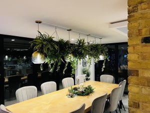 hanging planting display between lights 2