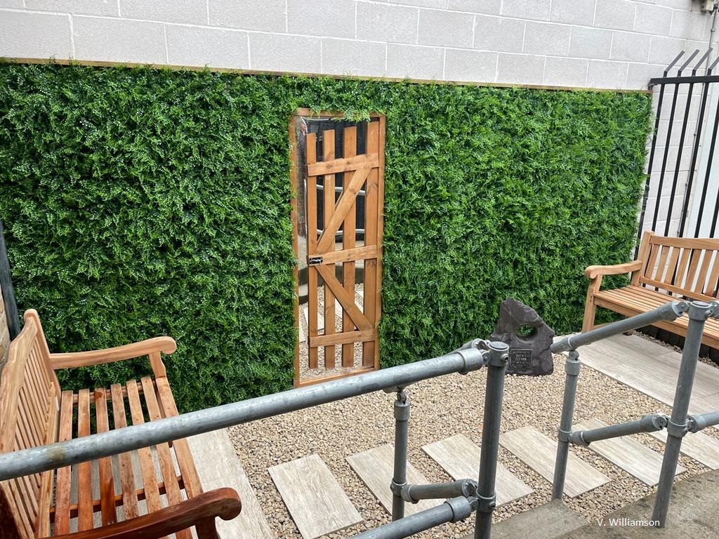 Maidenhair Green Wall on patio wall