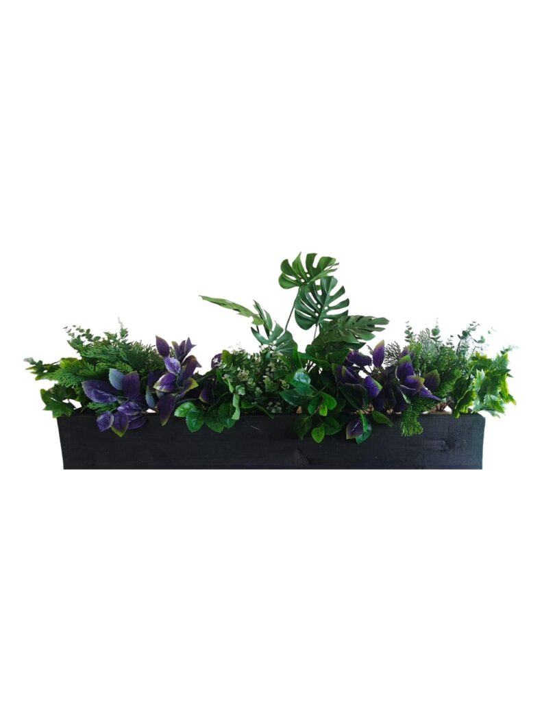 New plants window box