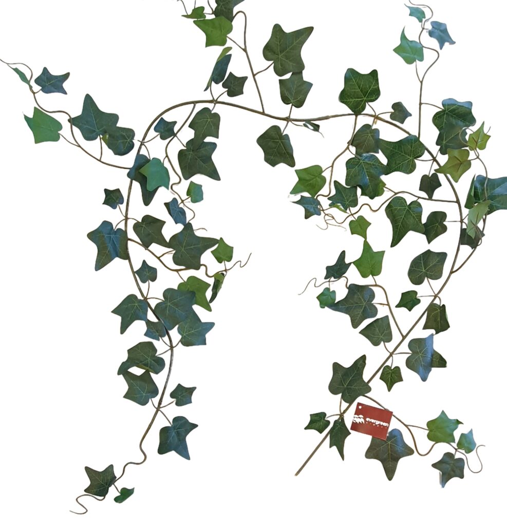 English Ivy Garland