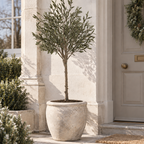 Artificial Premium UV Olive Tree In situ next to doorway
