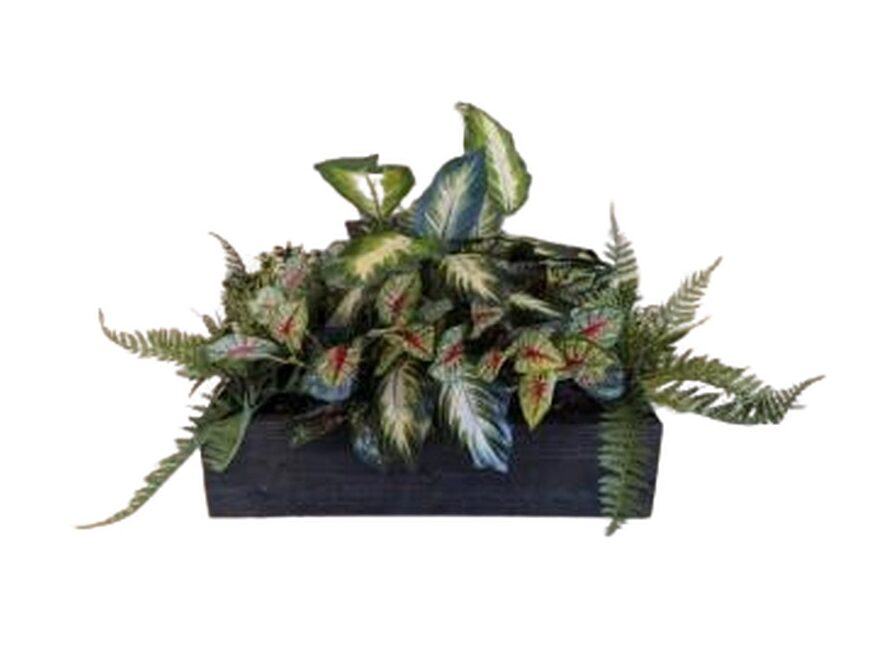 Untitled image - 2025-07-11T095130.929