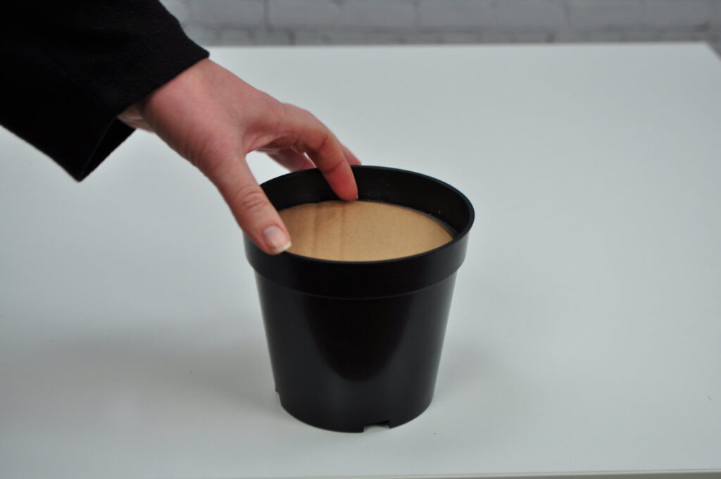 cardboard toppper 1