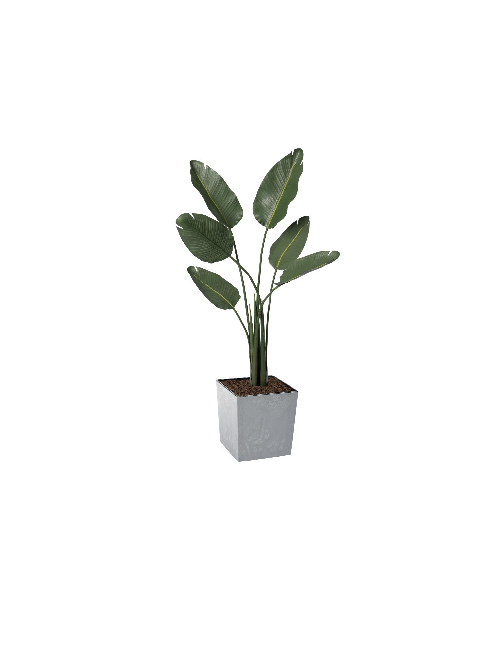 uv banana concrete juka grey