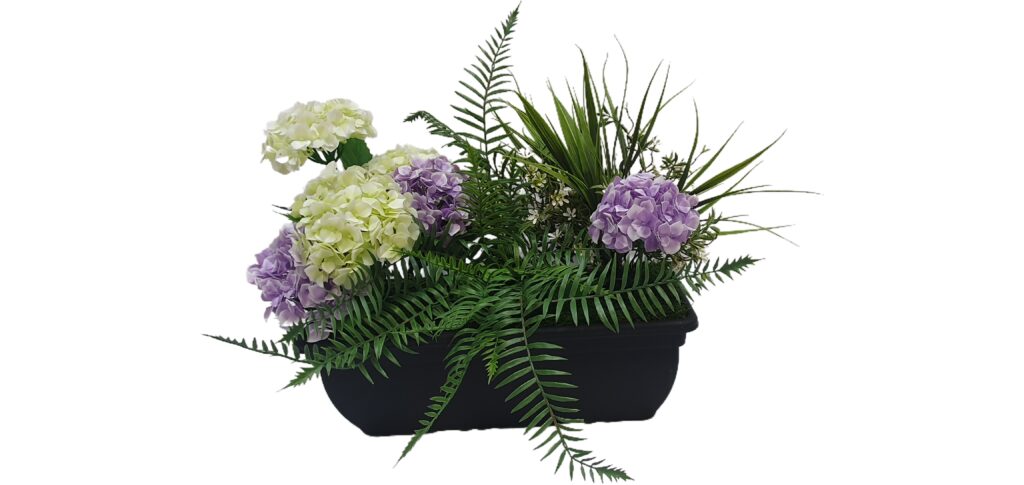 Hydrangea window box