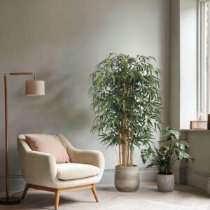 Bushy Buxus Palm Interior