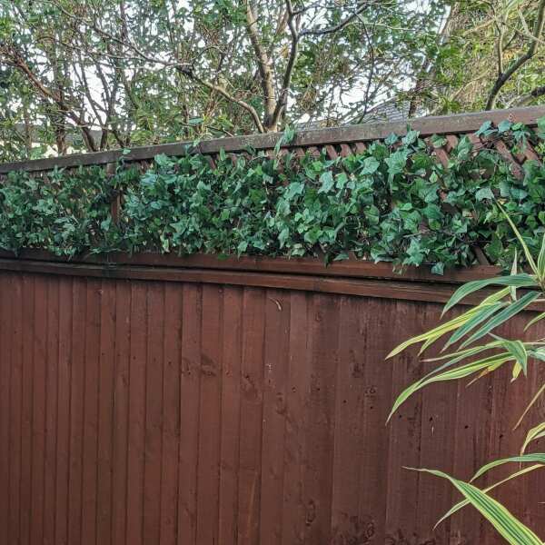 Best Artificial Pianta Edera Inglese Finta 210 Cm – Rampicante Verde Per Decorazione Murale Matrimoni E Casa