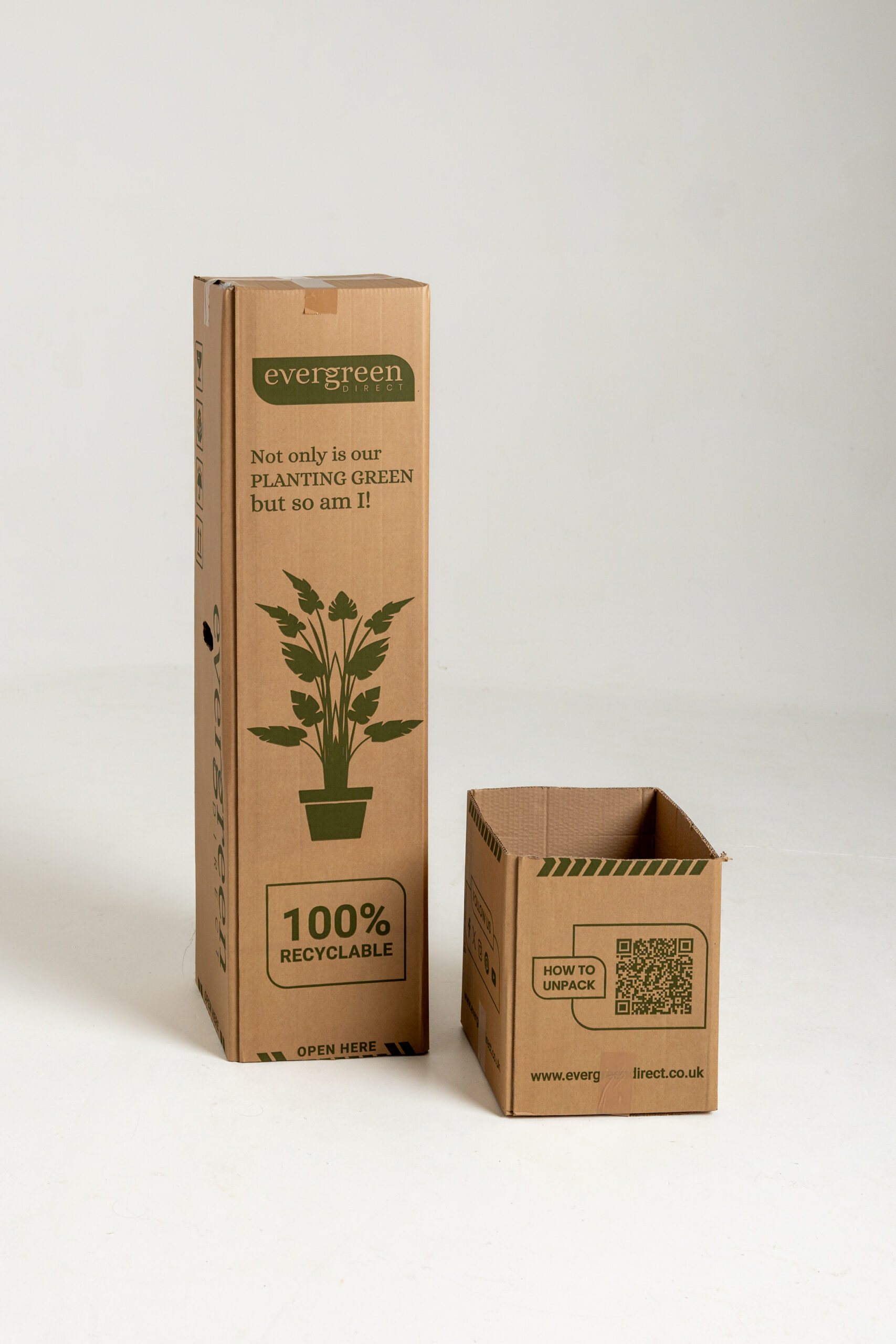 Evergreen Direct 2 scaled