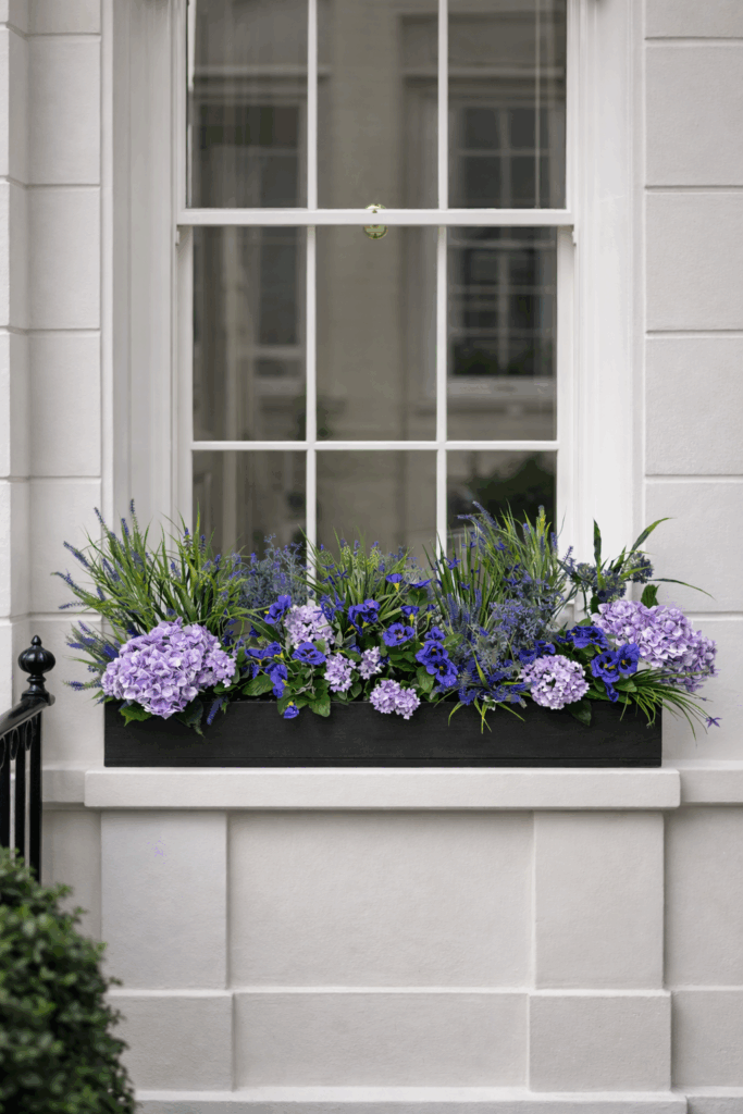Regal Purple Floral Window Box in situ