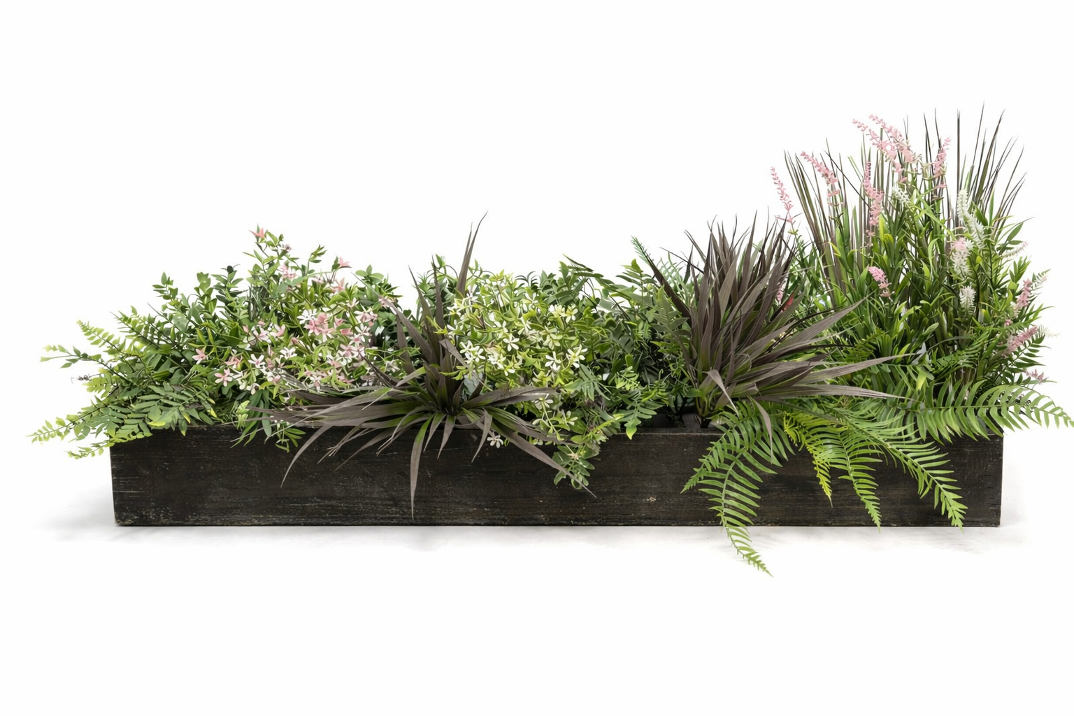 fern and bloom box