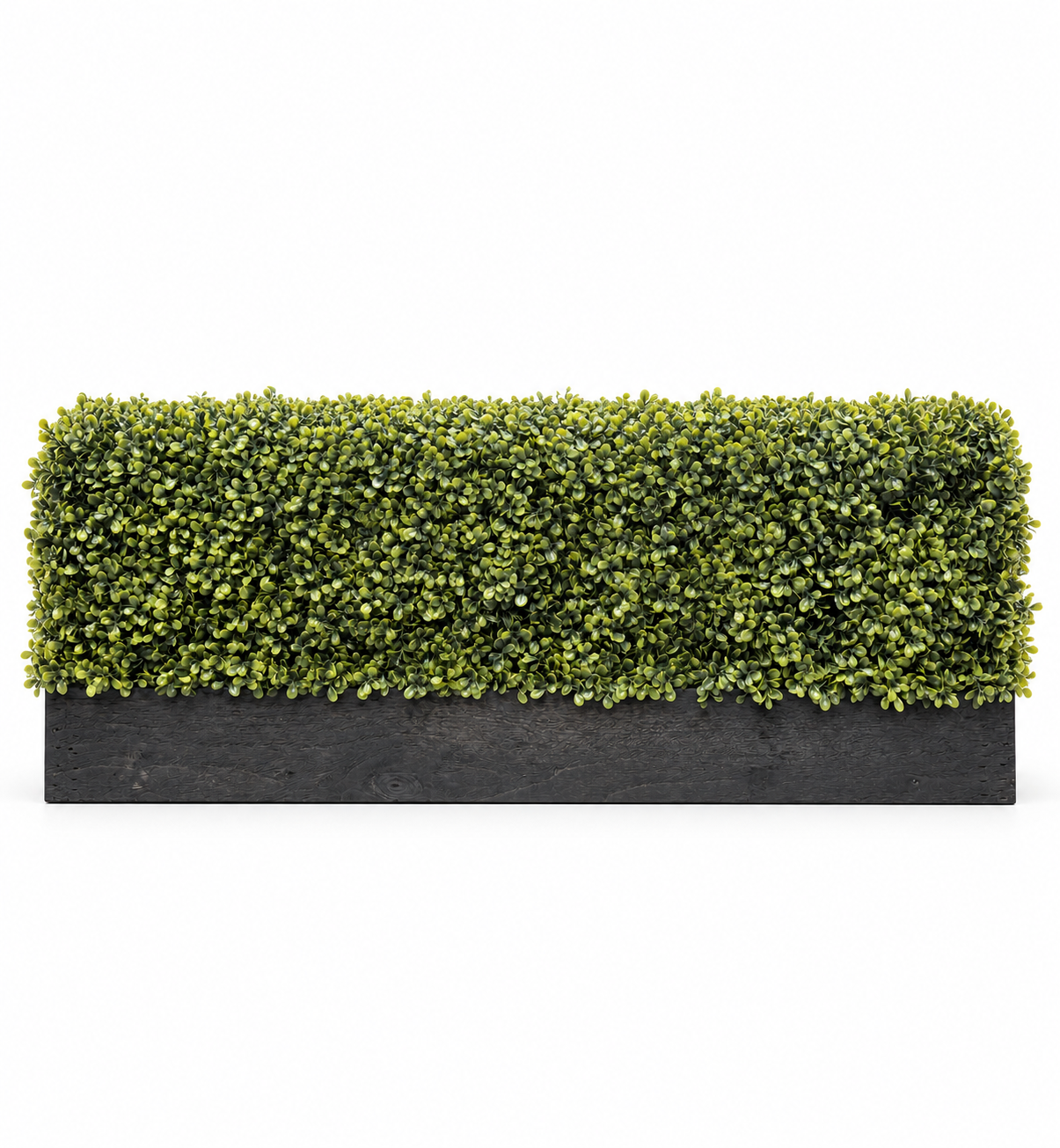 The Boxwood Ledge Artificial Window Box The Boxwood Ledge artificial window box with dense realistic boxwood foliage in a black timber trough.