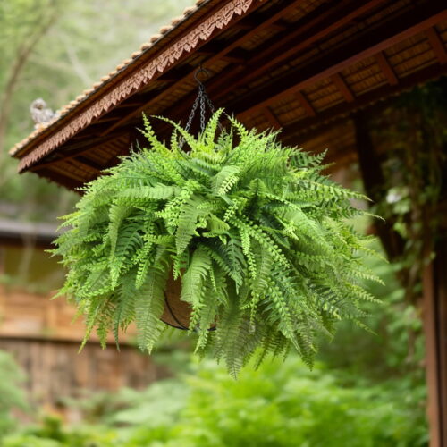 Luxury UV protected artificial mixed fern hanging basket with full trailing green foliage