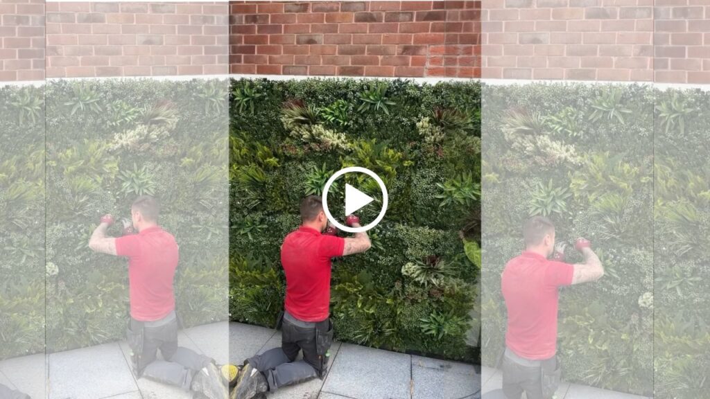 green wall installation