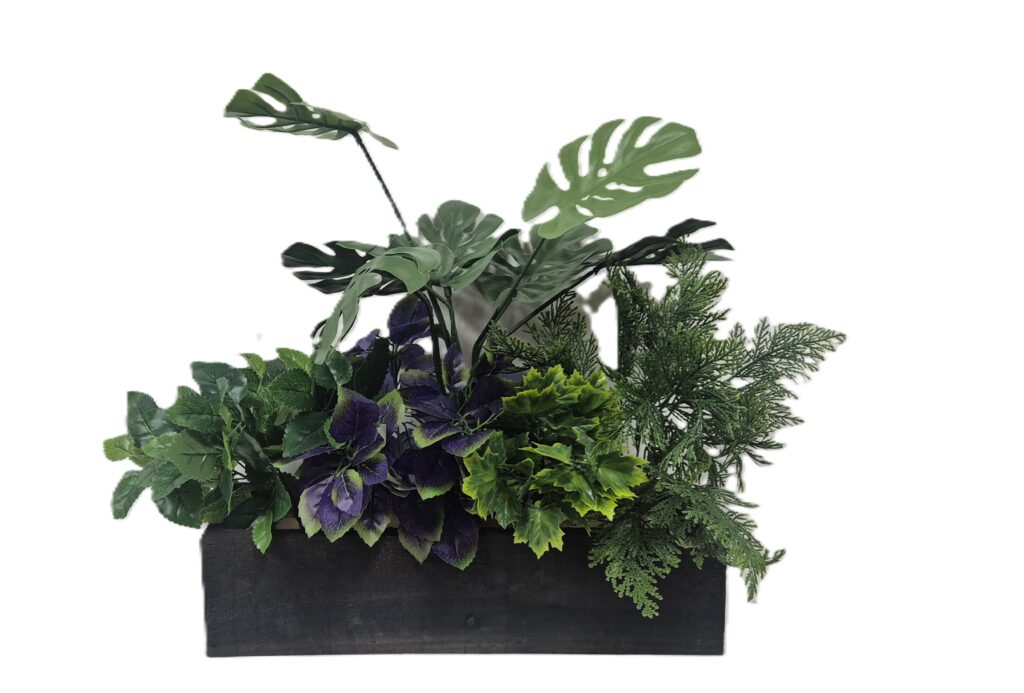 Monstera Greenery 50cm