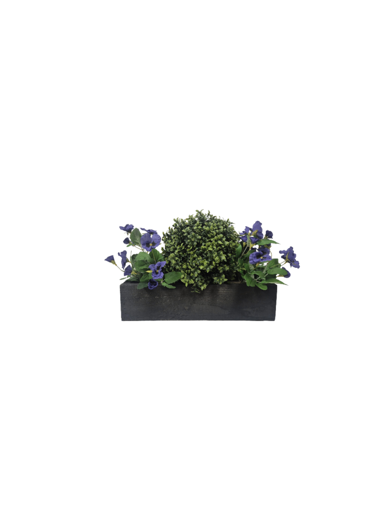 buxus and pansy 50cm purple