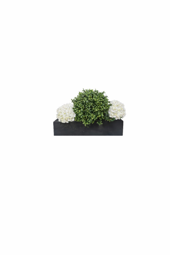 buxus bloom 50cm white