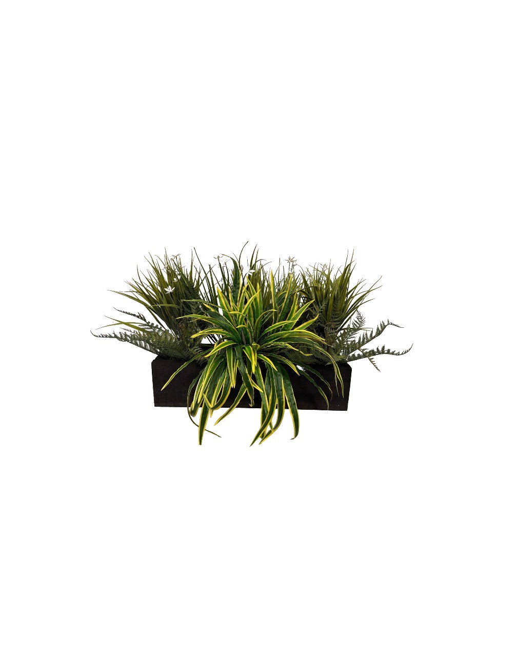 Flowering Grass 50cm