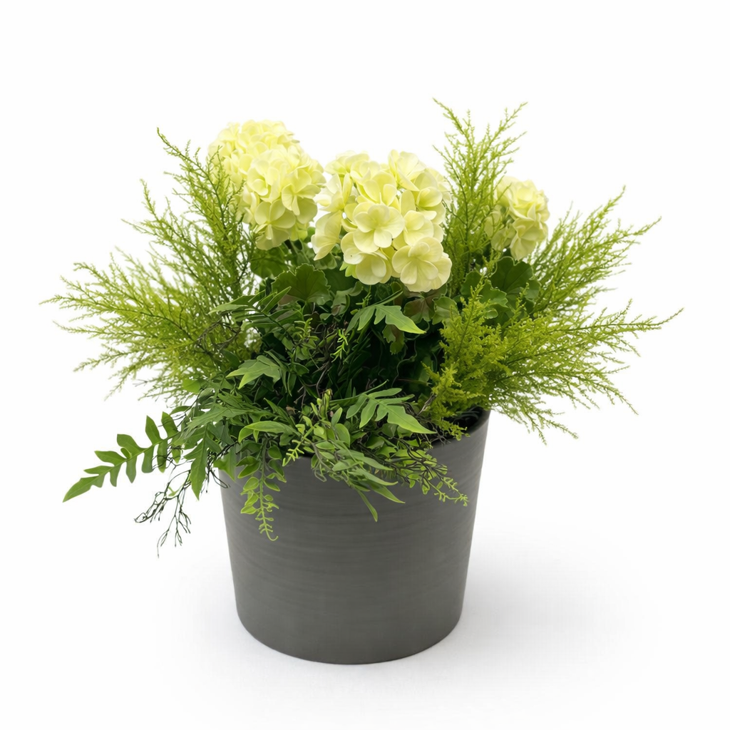 white geranium flower pot