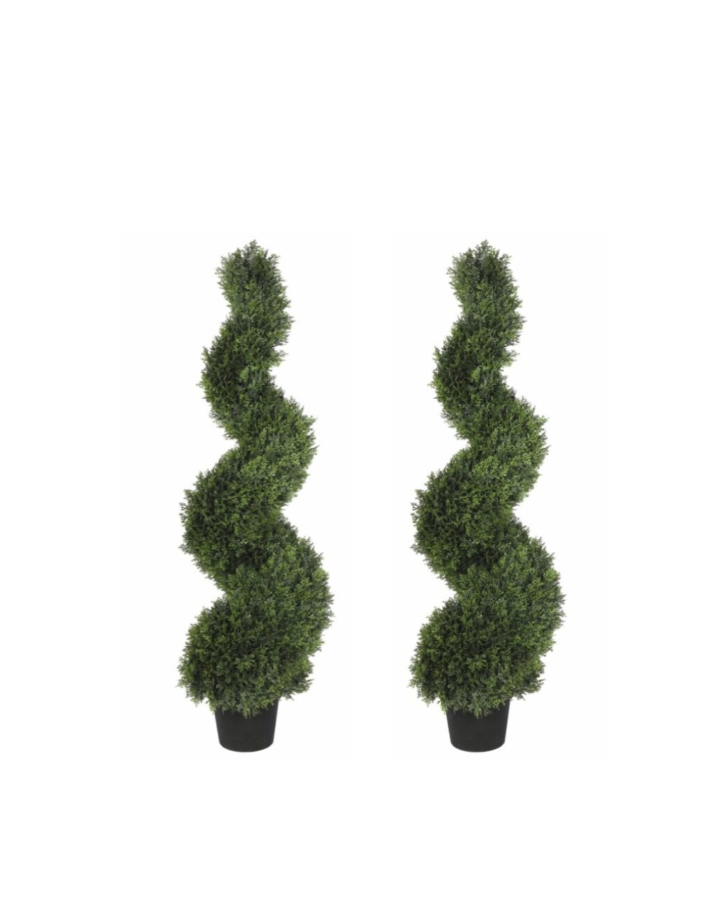 Cypress pair