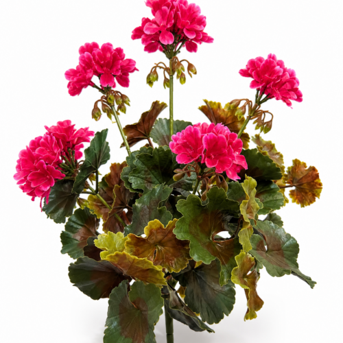 Artificial English geranium plant with large cerise pink blooms and dark green foliage