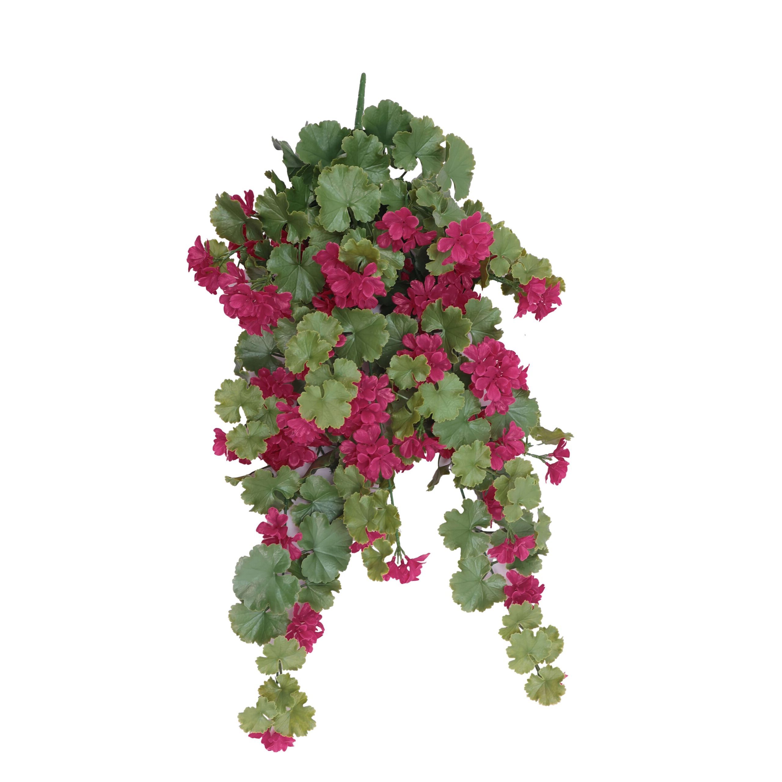 Artificial UV+ Trailing Pelargonium
