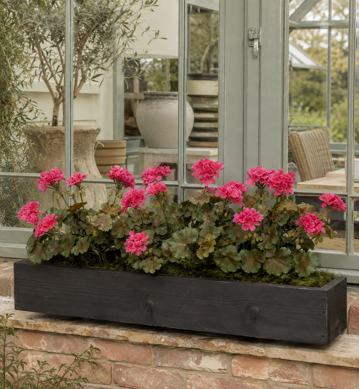 Greenhouse Geranium Flower Box on Greenhouse Window Ledge