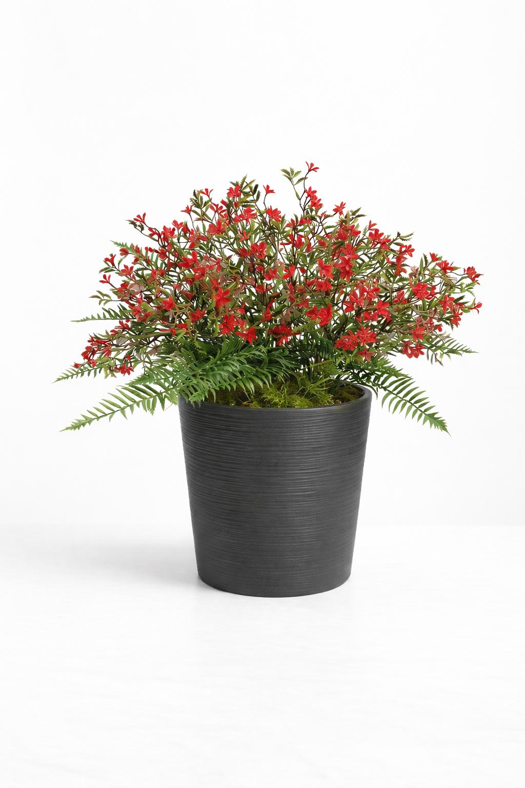 Red olive eco chisel